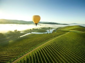 Valley Farm Vineyard