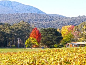 Valley Farm Vineyard