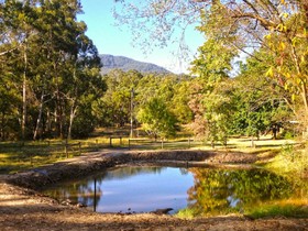 Valley Farm Vineyard
