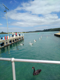 Abel Tasman Waterfront Motel Lakes Entrance