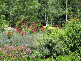 Summerhill Farm Bed & Breakfast