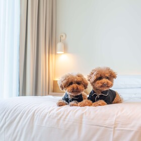Hyatt Centric Melbourne