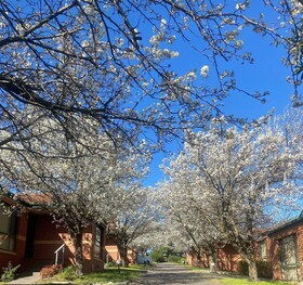 Mount Waverley Townhouses