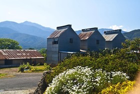 Alpenhorn