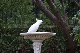 Villa D'Amour