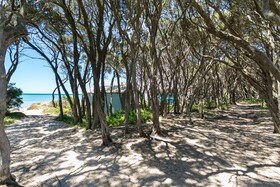 Beach Bungalow