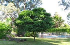 Seymour Motel