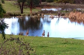 Australian Home Away @ Wonga Park Brushy Creek