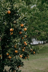 Araluen Boutique Accommodation