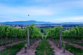 Balgownie Estate Vineyard Resort & Spa