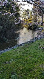 Yea Riverside Caravan Park