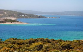 Albany Motel & Apartments