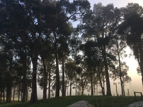 Tegwan's Nest