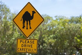 Kimberley Sands Resort & Spa