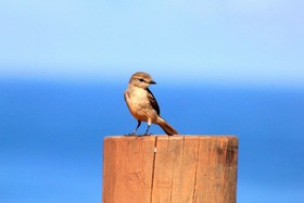 Kooljaman at Cape Leveque