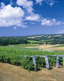 Dunsborough Central Motel