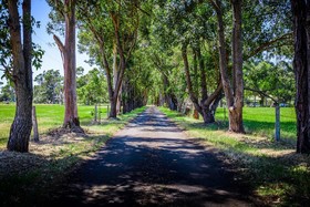 Dunsborough Rail Carriages And Farm Cottages