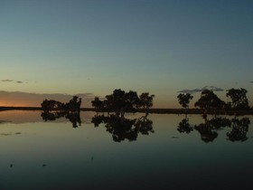 Wooleen Station