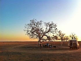 Wooleen Station