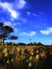 Wooleen Station