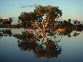 Wooleen Station