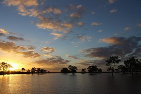 Wooleen Station