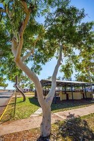 Balmoral Karratha Holiday & Caravan Park