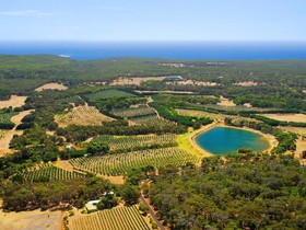 Harmony Forest Cottages