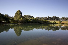 Harmony Forest Cottages