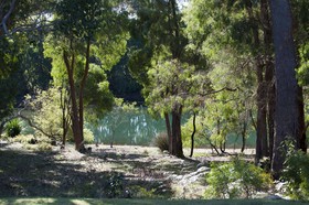 Harmony Forest Cottages