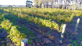 Margaret River Beach Apartments