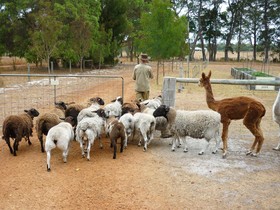 Margaret River Hideaway & Farmstay