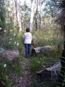 Margaret River Holiday Cottages