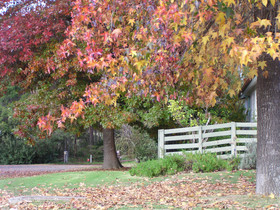 Station House Chalets