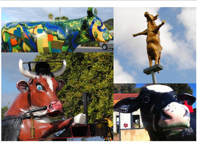 Station House Chalets