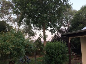 The Noble Grape Guesthouse