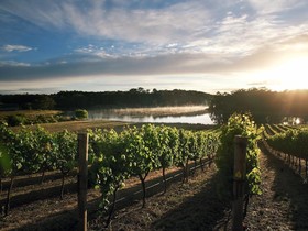 Vintages Accommodation