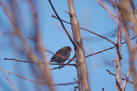 Yelverton brook Eco Spa Retreat & Conservation Sanctuary