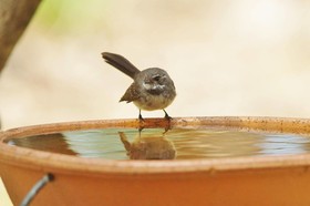 Yelverton brook Eco Spa Retreat & Conservation Sanctuary