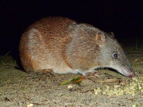 Yelverton brook Eco Spa Retreat & Conservation Sanctuary