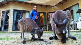 Yelverton brook Eco Spa Retreat & Conservation Sanctuary