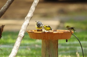 Yelverton brook Eco Spa Retreat & Conservation Sanctuary
