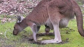 Yelverton brook Eco Spa Retreat & Conservation Sanctuary