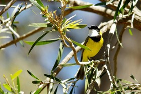 Yelverton brook Eco Spa Retreat & Conservation Sanctuary