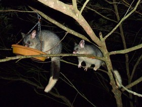 Yelverton brook Eco Spa Retreat & Conservation Sanctuary