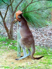 Yelverton brook Eco Spa Retreat & Conservation Sanctuary