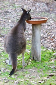 Yelverton brook Eco Spa Retreat & Conservation Sanctuary