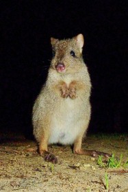 Yelverton brook Eco Spa Retreat & Conservation Sanctuary