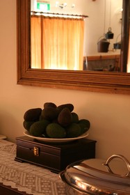 Enderslie House Bed & Breakfast & Farmstay