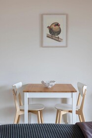 Nornalup Riverside Chalet